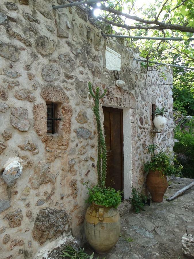 Nikos House Apartamento Káto Zákros Exterior foto